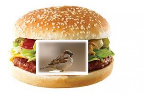 Mc Vrabec